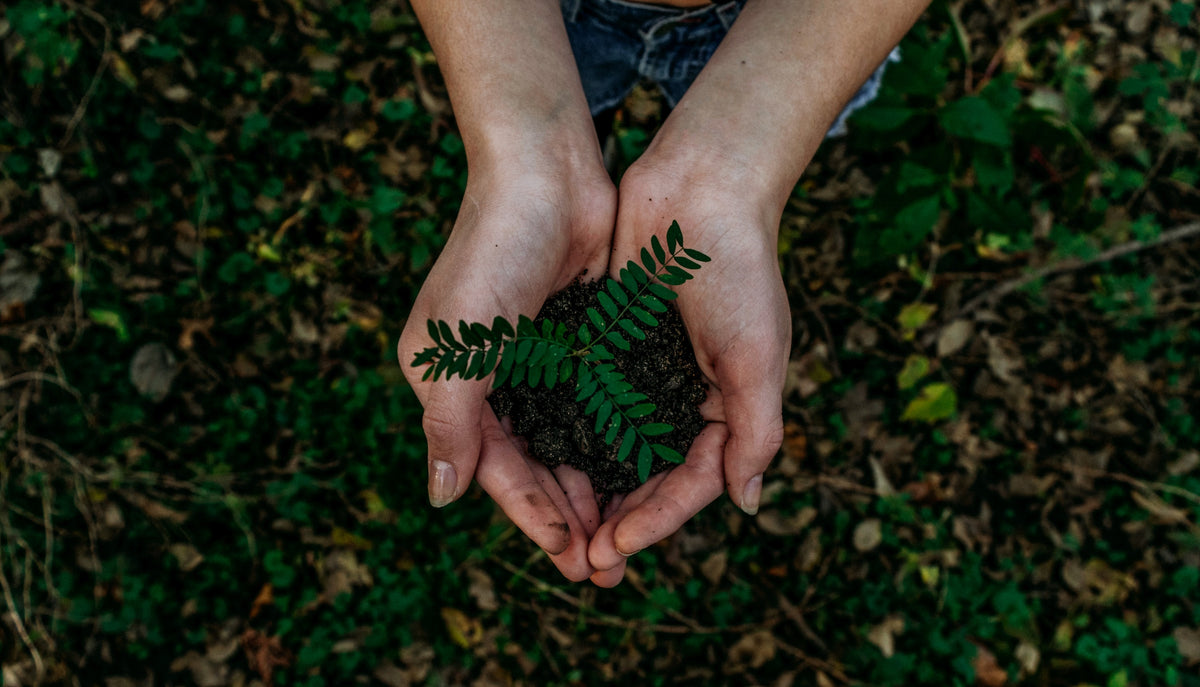 How To Live More Sustainably In 2024