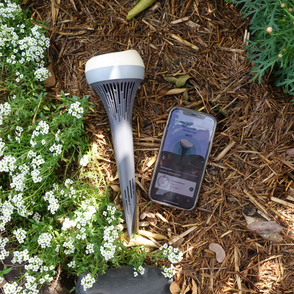 Monty Compost Co Monitor